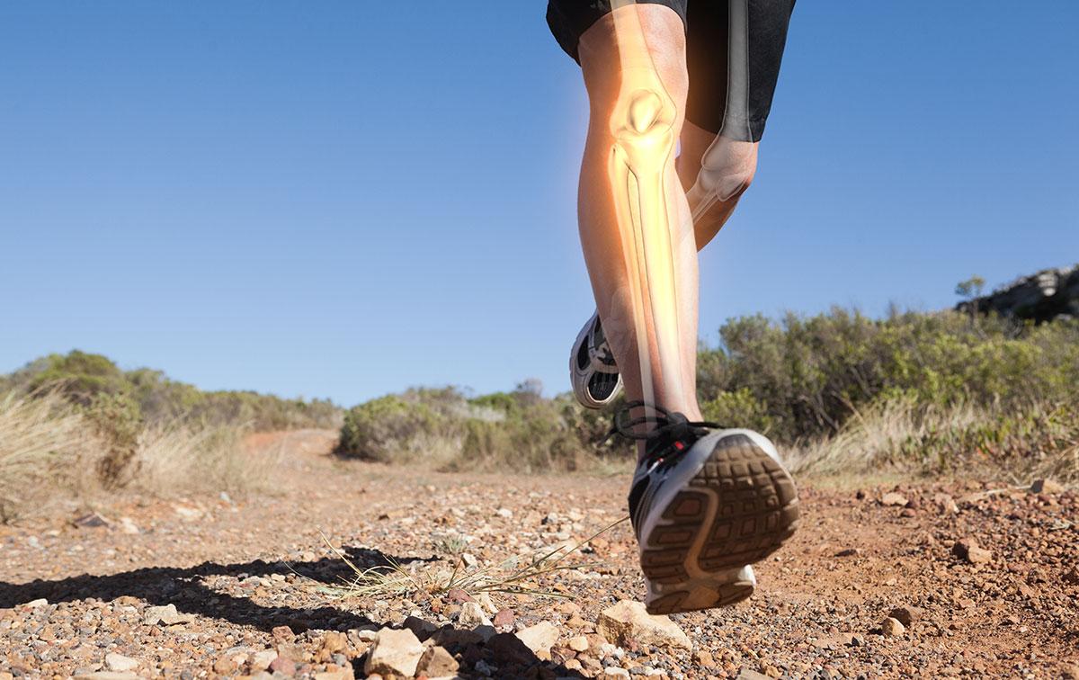 Will Running Damage Your Knees? Studies Say No.